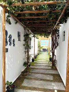 Oasis Roraimar - Refúgio em Maragogi - 8