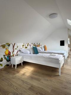 Niezapominajka Zabłocie 145 - 9