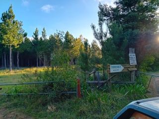 Tannenhof Camping Ground - 6