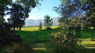 Tannenhof Camping Ground - 3