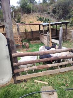 Salon de eventos cabaña el Chalet - 4