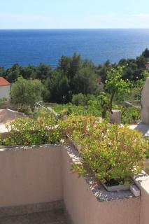 Apartments and rooms with parking space Ivan Dolac, Hvar - 8734 - 3