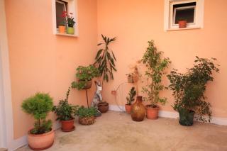 Apartments and rooms with parking space Ivan Dolac, Hvar - 8734 - 2