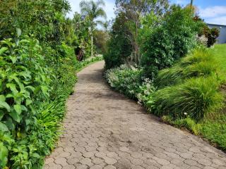 Te Kouma Sunsets - 2