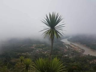 Phanoy Viewpoint camping - 1