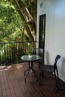 Mountain Escape - Fig Tree-House - Eco Lodge - 7