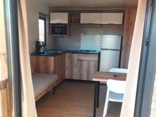 Mobil-home confortable avec terrasse à Saint-Gérons - API-1-52-1311 - 3