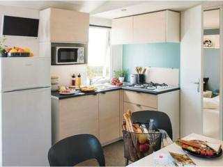 Mobil-home confortable avec terrasse à Saint-Gérons - API-1-52-1315 - 7