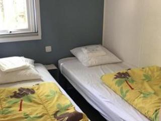 Mobil-home confortable avec terrasse à Saint-Gérons - API-1-52-1315 - 4