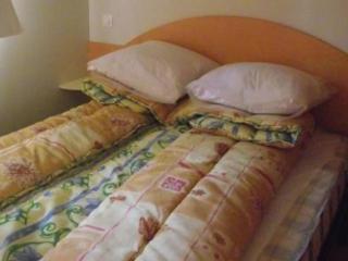 Mobil-home confortable avec terrasse à La Couarde - API-1-52-1305 - 5