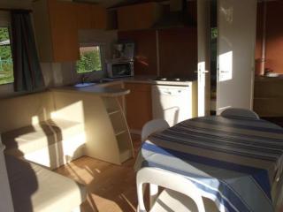 Mobil-home confortable avec terrasse à Bieuzy - API-1-52-1307 - 8