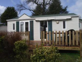 Mobil-home confortable avec terrasse à Bieuzy - API-1-52-1307 - 3