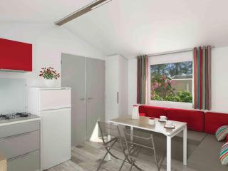 Mobil-home 27m² à Saint-Gérons avec terrasse - API-1-52-1316 - 9