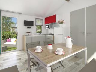 Mobil-home 27m² à Saint-Gérons avec terrasse - API-1-52-1316 - 7