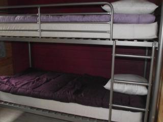 Chalet avec Terrasse pour 6 personnes à Bieuzy - API-1-52-1303 - 5