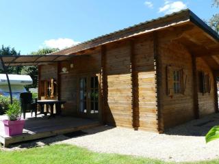 Chalet avec Terrasse pour 6 personnes à Bieuzy - API-1-52-1303 - 4