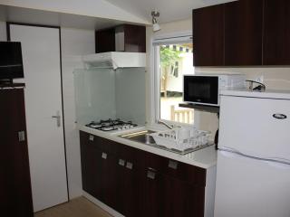 Mobil home spacieux avec terrasse pour 8 personnes - API-1-52-1358 - 9