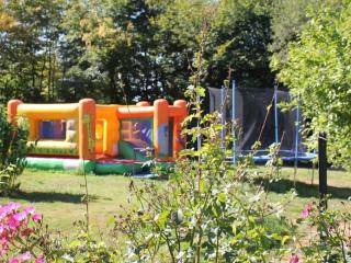 Mobil home spacieux avec terrasse pour 8 personnes - API-1-52-1358 - 1