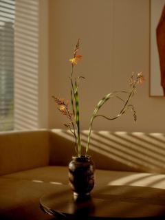 The PuLi Shanghai - 1