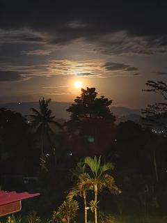 Arta dani villas - 9