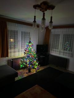 Apartmány u vleku - 4