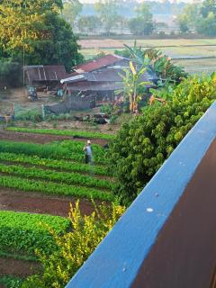 ชมวิว บึงโขงหลง - 1