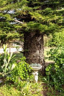 Aroha - Character Filled Coastal Home in Prevelly - 1