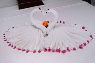 V Fleurs Hotel Cat Ba - 7