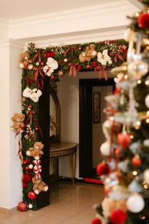 Hotel Royal Plaza By TimHotels - 7