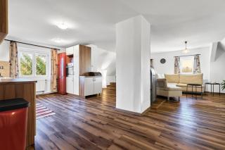 Forest House near Klínovec with 5 Independent Apartments - 4