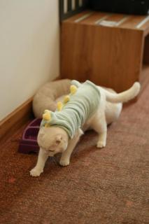 Ramada by Wyndham Karacabey - 8