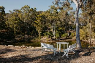 Eagle Bay Eyrie Walk to Beach Pet-Friendly - 3