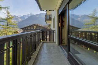 The Brevent Nest ski in/ski out - Happy Rentals - 2