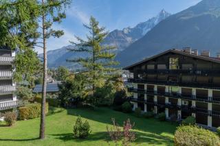 The Brevent Nest ski in/ski out - Happy Rentals - 1