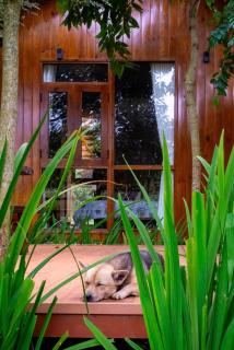 DuGiang Homestay - 3