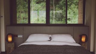 青城山坐忘森林疗愈酒店 - 8