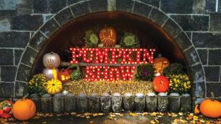 Holiday Inn Express & Suites Pittsfield-Lenox-Berkshires by IHG - 7