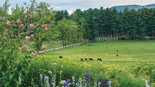 Holiday Inn Express & Suites Pittsfield-Lenox-Berkshires by IHG - 1