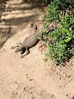 Villa Four Seasons - 3