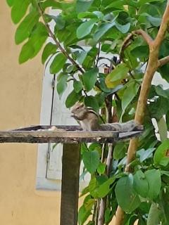 Villa Four Seasons - 7