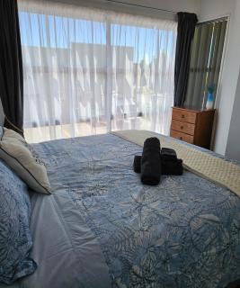 Cozy Wigram Apartment - 3