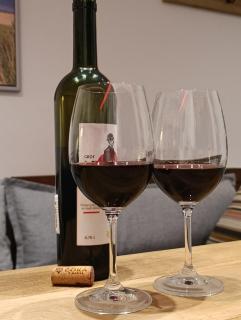 Apartman TESLA 29, Veternik - Veternik - 2