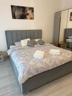 Malvina Apartments Cazare Mures - 8