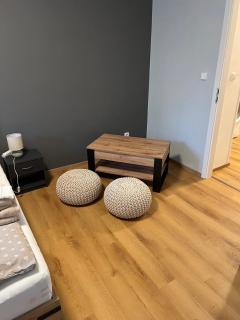 Private Riverside Apartment Brno - 4