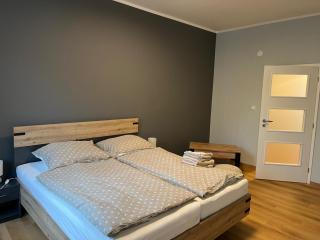 Private Riverside Apartment Brno - 0