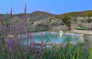 Stunning Home In Castiglion Fiorentino With Private Swimming Pool, Can Be Inside Or Outside - 3