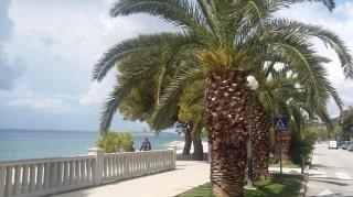 Panorama Residence - 9