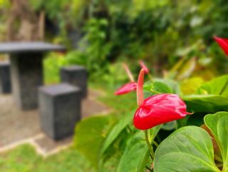 Abhilashi Guest house - 9