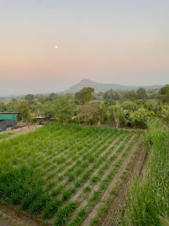 Fulgulab Lawns and Home Stay - 8