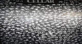 Staylite Candon Hotel - 4